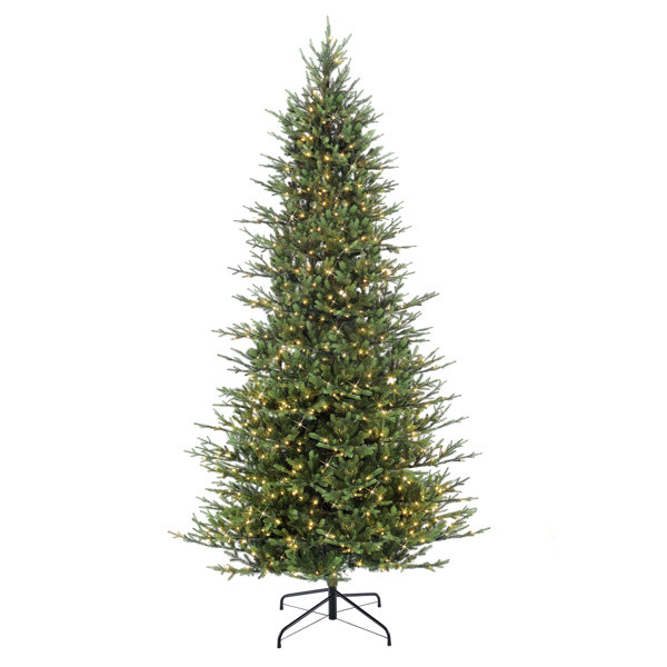 9' Green Fir Trees Christmas Tree with 800 White Light AllModern
